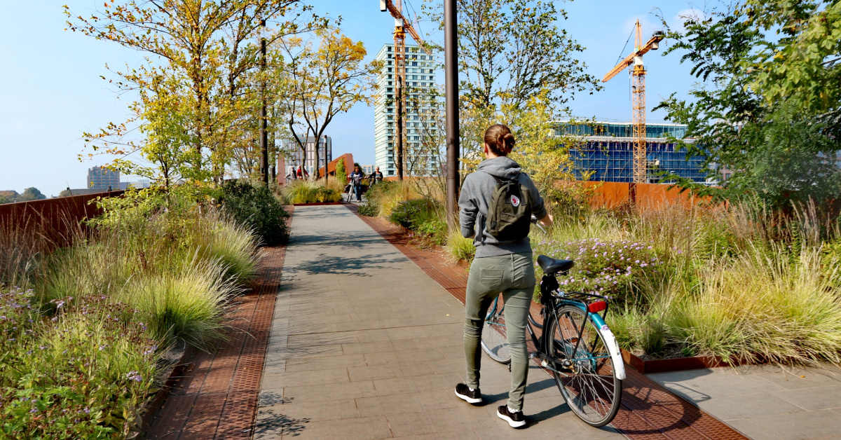 Aan de slag met de gezonde stad - BRO